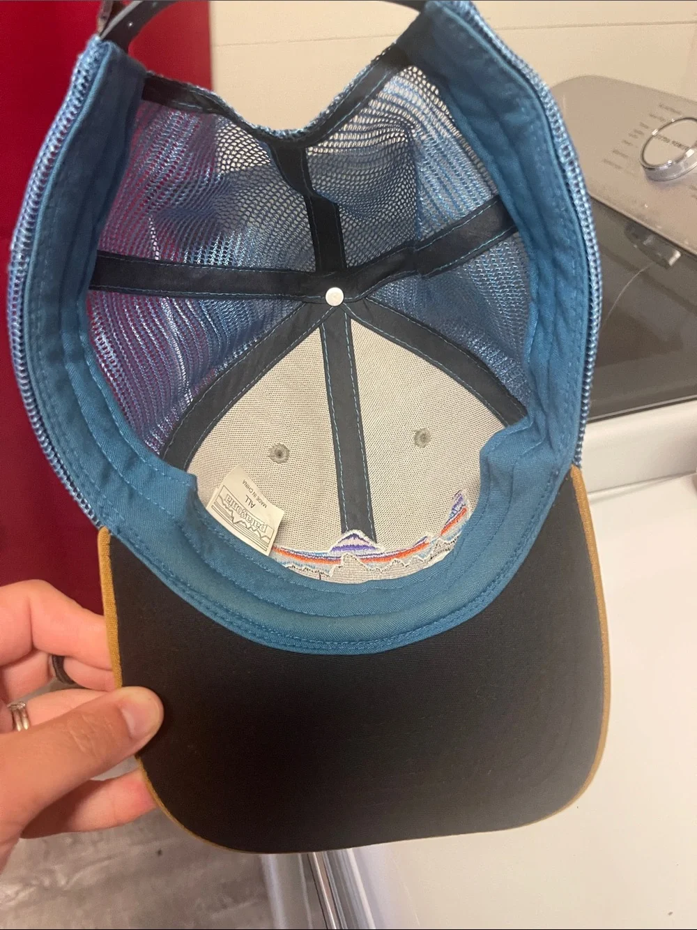 Trucker Hat with Colorful Fish Patch - Patagonia